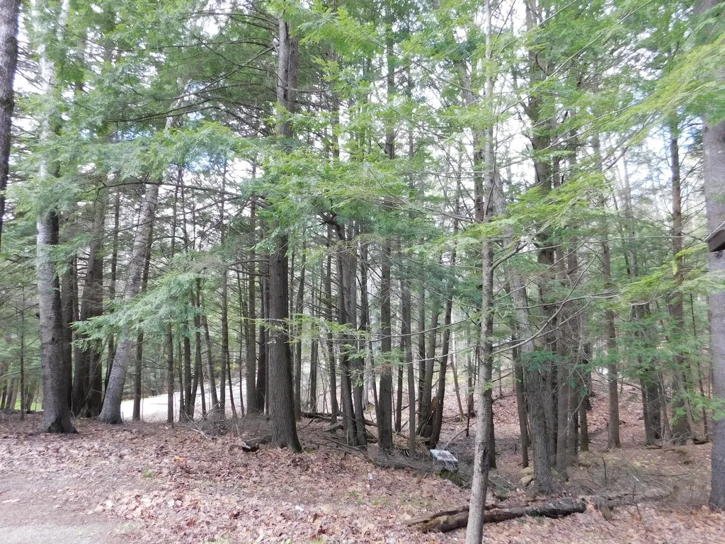 37 Torsey Shores Road Readfield ME 04355