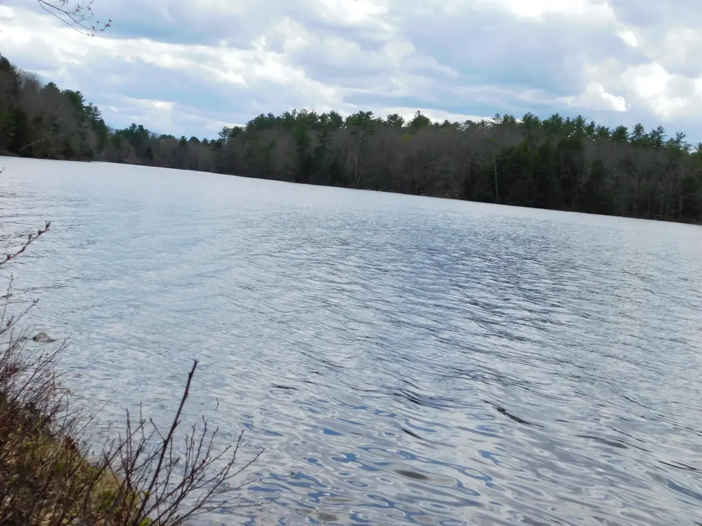 37 Torsey Shores Road Readfield ME 04355