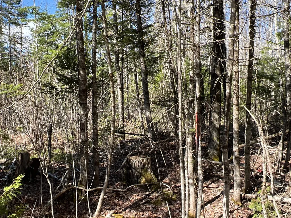 Lot 22 Schoodic Point Road Medford ME 04463