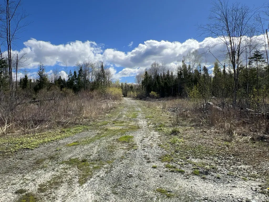 Lot 22 Schoodic Point Road Medford ME 04463