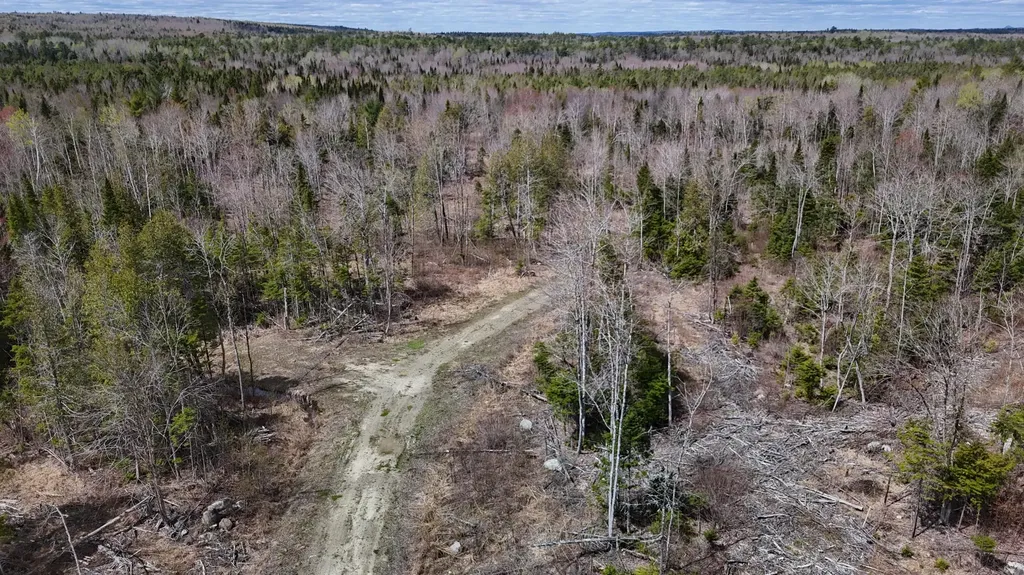Lot 22 Schoodic Point Road Medford ME 04463