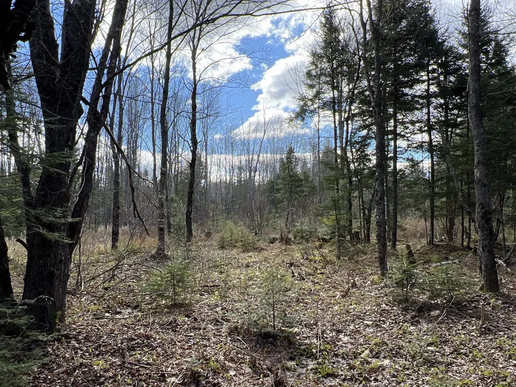 Lot 22 Schoodic Point Road Medford ME 04463