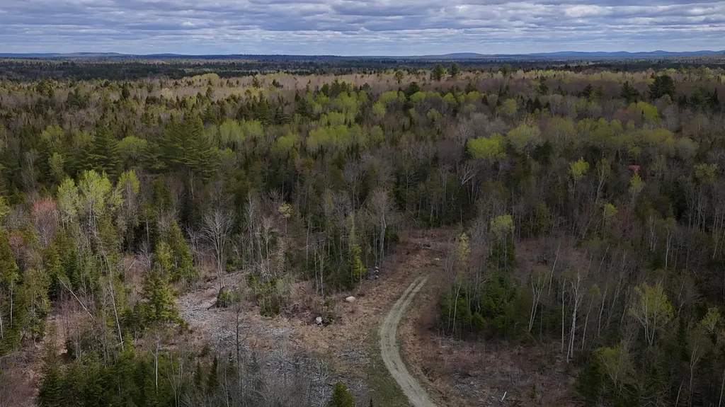 Lot 22 Schoodic Point Road Medford ME 04463