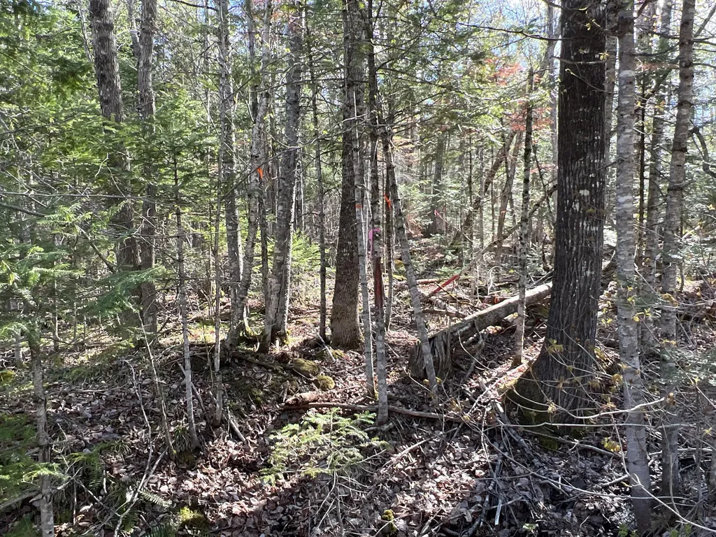 Lot 22 Schoodic Point Road Medford ME 04463