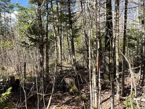 Lot 22 Schoodic Point Road Medford ME 04463