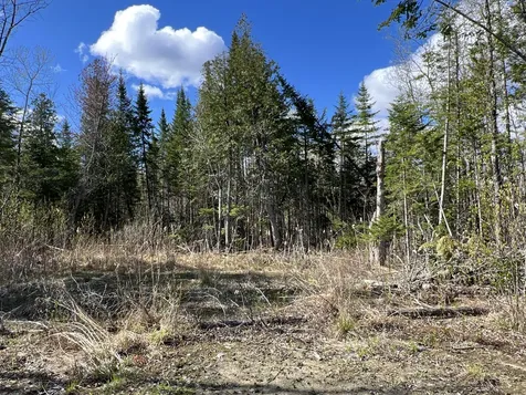 Lot 22 Schoodic Point Road Medford ME 04463