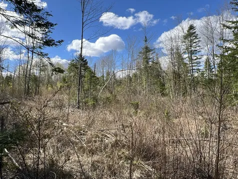 Lot 22 Schoodic Point Road Medford ME 04463