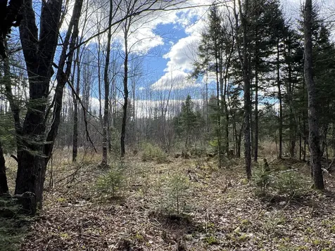 Lot 22 Schoodic Point Road Medford ME 04463
