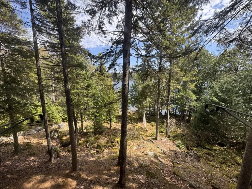 279 Carry Ridge Road Northfield ME 04654