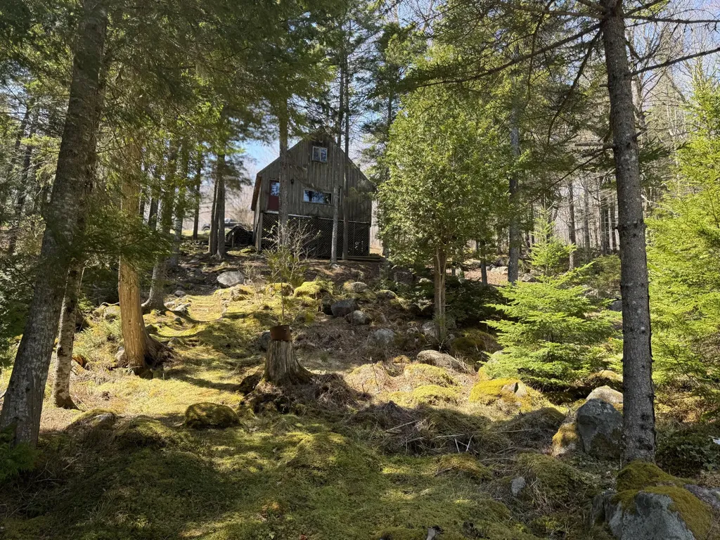 279 Carry Ridge Road Northfield ME 04654
