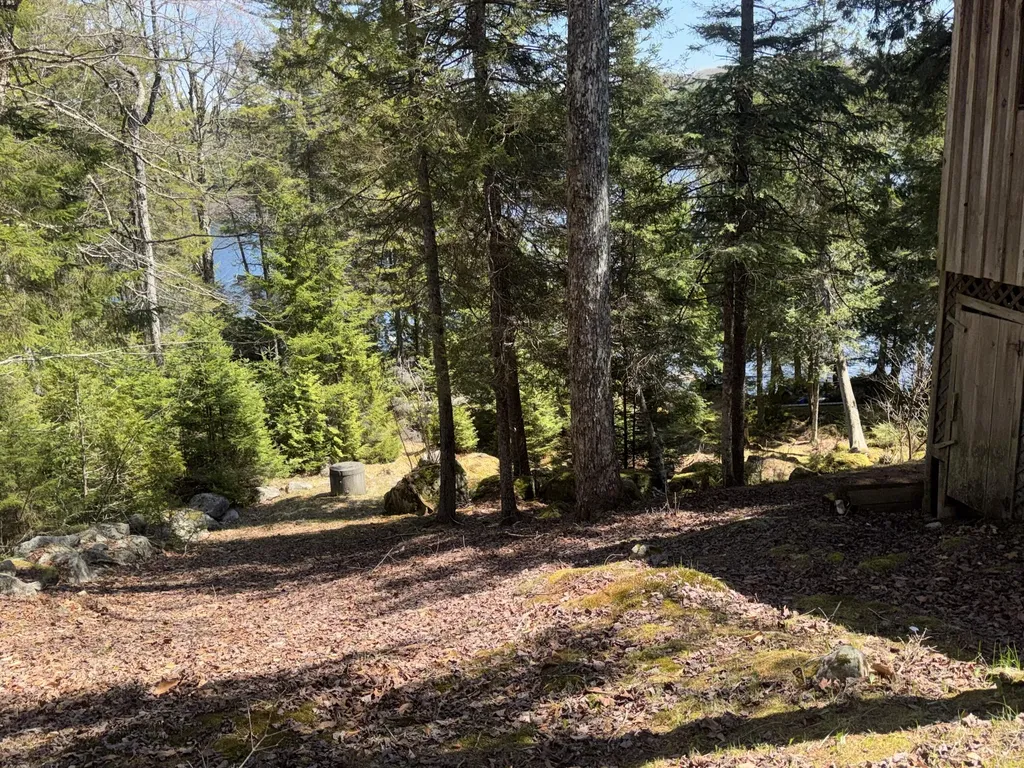 279 Carry Ridge Road Northfield ME 04654