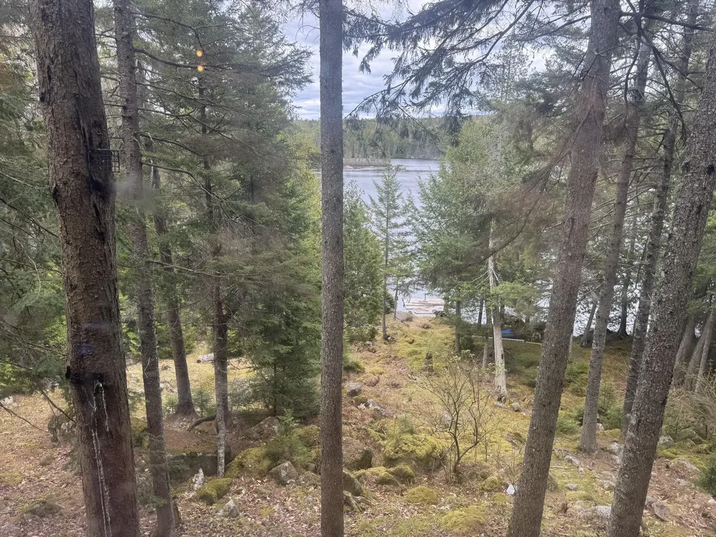 279 Carry Ridge Road Northfield ME 04654