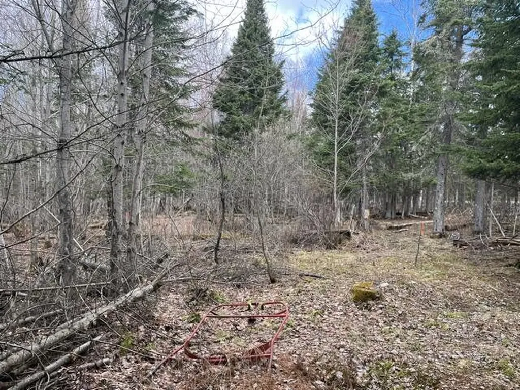 Lot 12 Doe Path Rangeley ME 04970