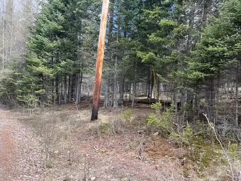Lot 12 Doe Path Rangeley ME 04970