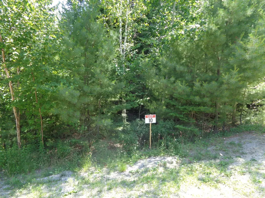 Lot 10 Bailey Mountain Road Franklin ME 04634