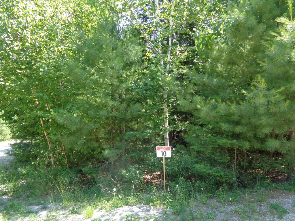 Lot 10 Bailey Mountain Road Franklin ME 04634