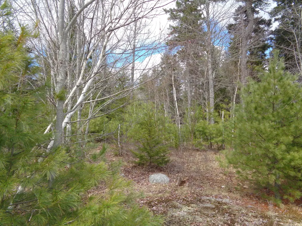 Lot 10 Bailey Mountain Road Franklin ME 04634