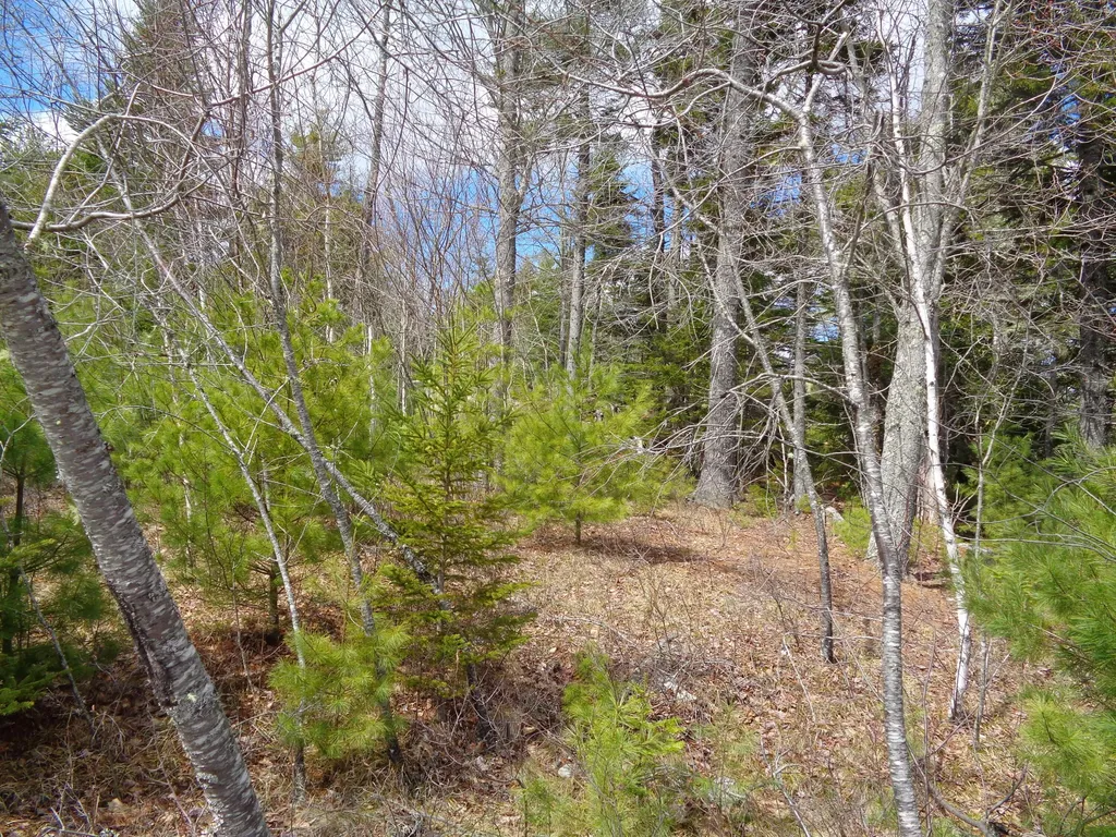 Lot 10 Bailey Mountain Road Franklin ME 04634