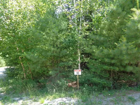 Lot 10 Bailey Mountain Road Franklin ME 04634