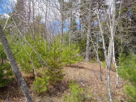 Lot 10 Bailey Mountain Road Franklin ME 04634