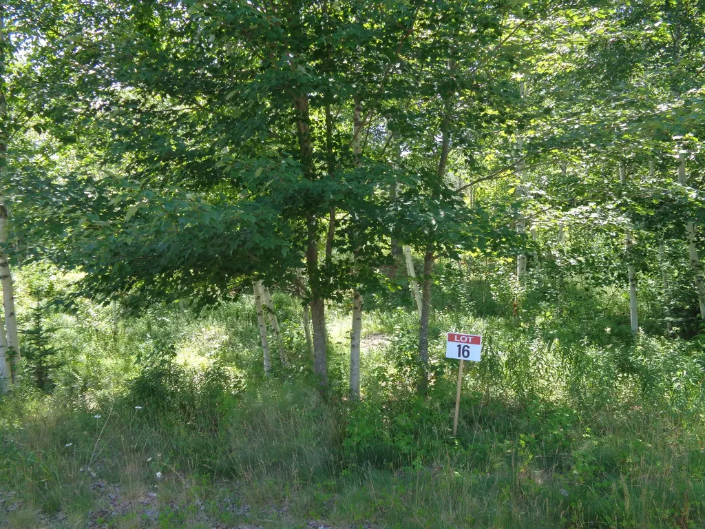 Lot 16 Bailey Mountain Road Franklin ME 04634
