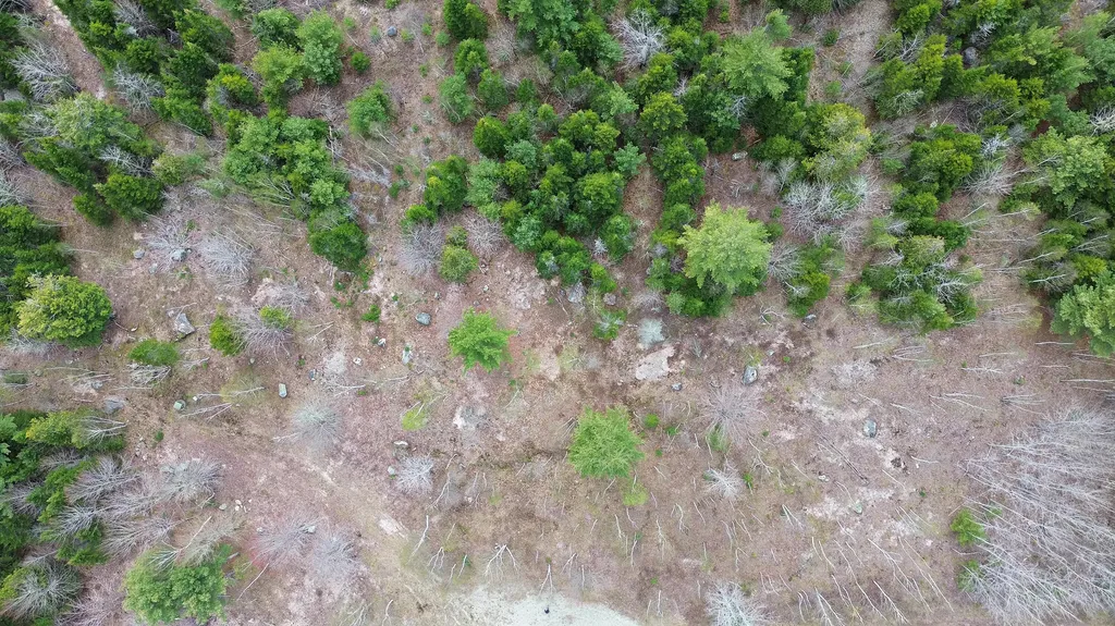Lot 16 Bailey Mountain Road Franklin ME 04634