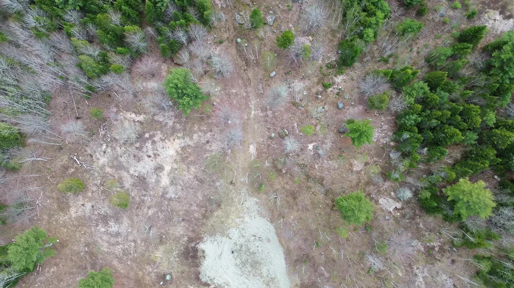 Lot 16 Bailey Mountain Road Franklin ME 04634