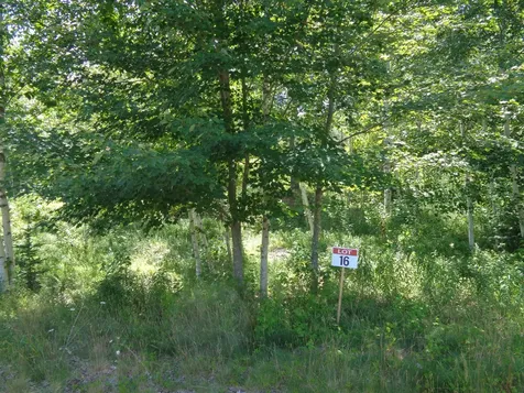 Lot 16 Bailey Mountain Road Franklin ME 04634