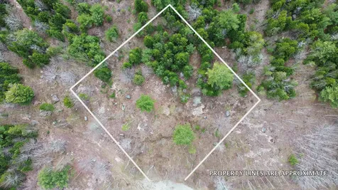 Lot 16 Bailey Mountain Road Franklin ME 04634