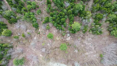 Lot 16 Bailey Mountain Road Franklin ME 04634