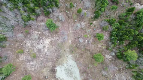 Lot 16 Bailey Mountain Road Franklin ME 04634