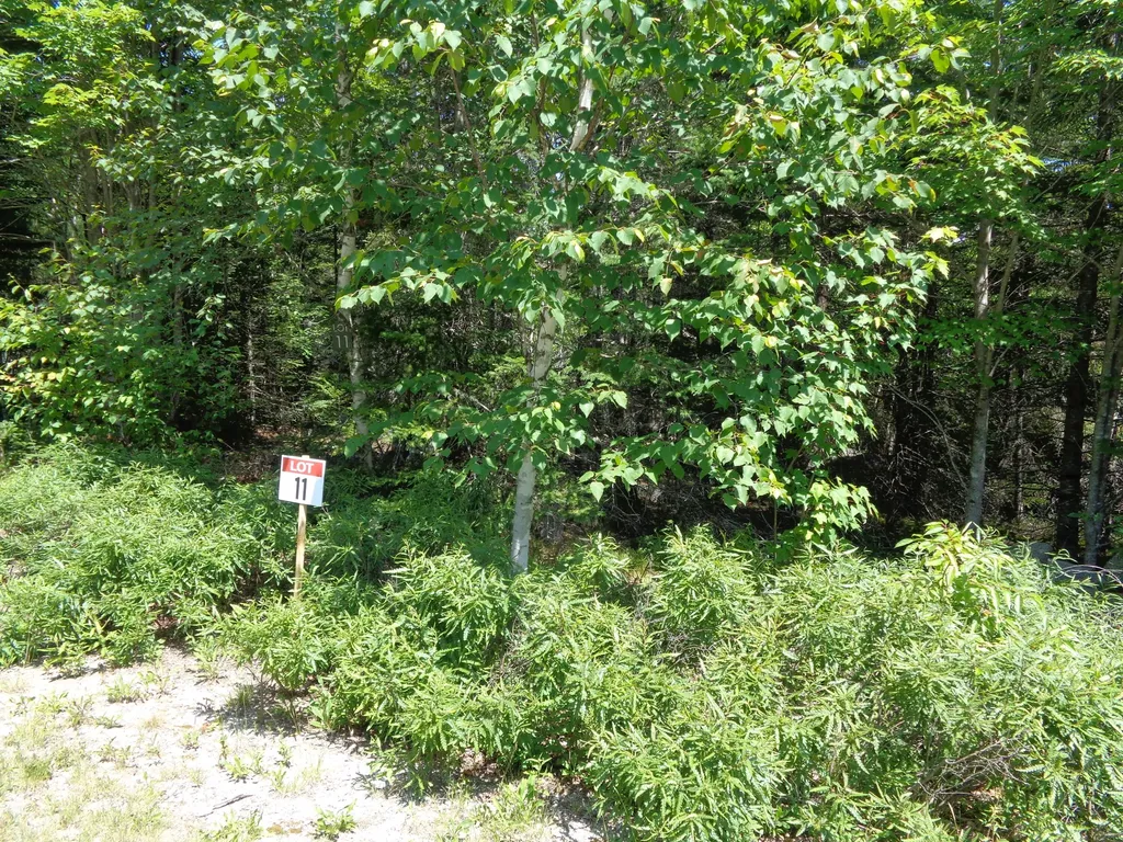 Lot 11 Bailey Mountain Road Franklin ME 04634