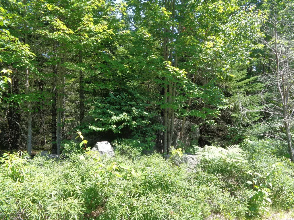Lot 11 Bailey Mountain Road Franklin ME 04634
