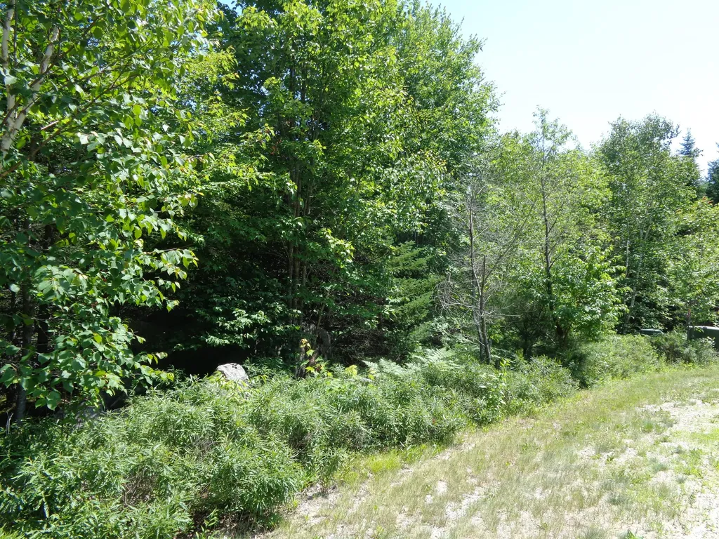 Lot 11 Bailey Mountain Road Franklin ME 04634