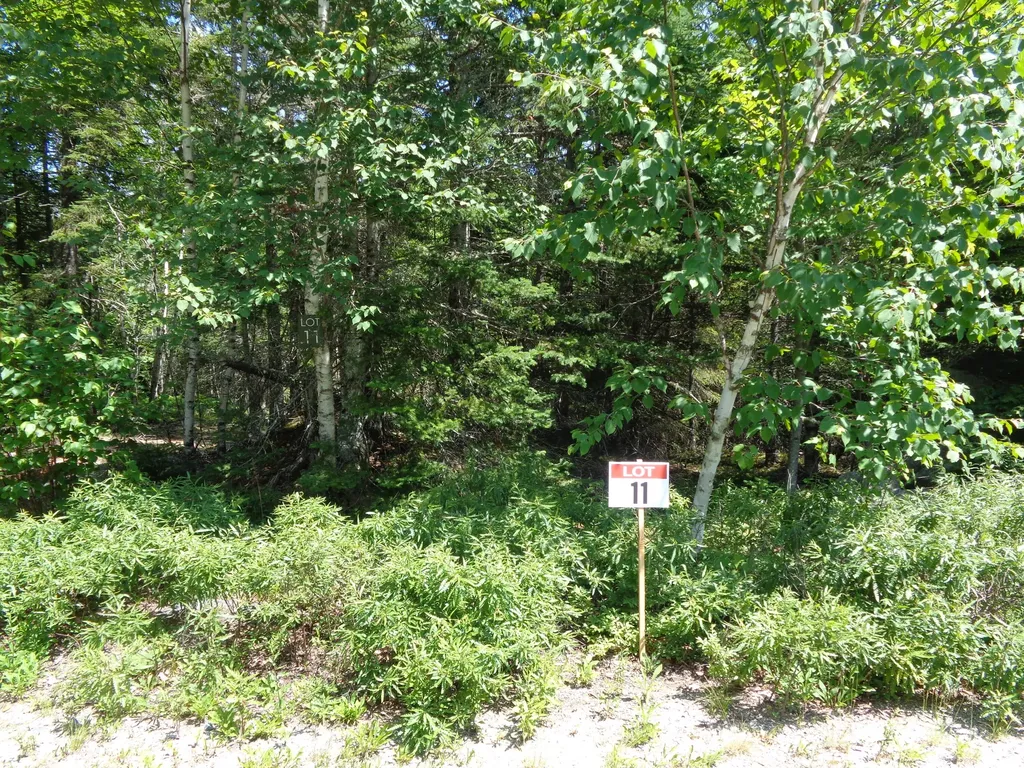 Lot 11 Bailey Mountain Road Franklin ME 04634