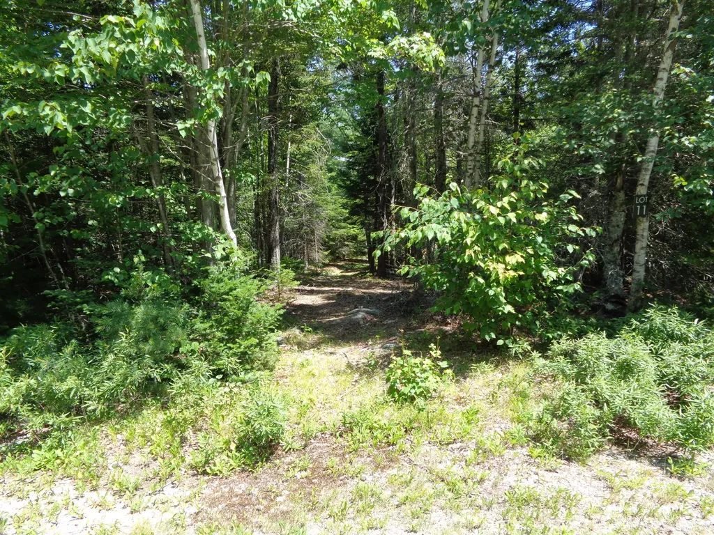 Lot 11 Bailey Mountain Road Franklin ME 04634