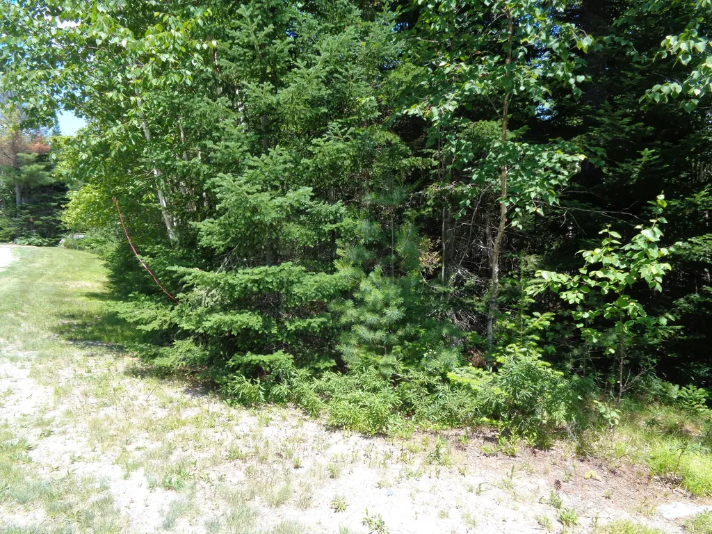 Lot 11 Bailey Mountain Road Franklin ME 04634