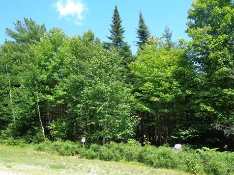 Lot 11 Bailey Mountain Road Franklin ME 04634