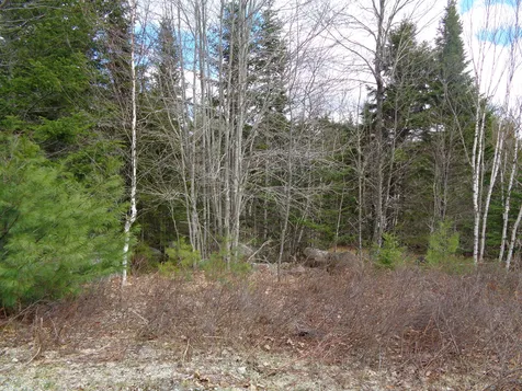 Lot 11 Bailey Mountain Road Franklin ME 04634