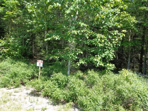 Lot 11 Bailey Mountain Road Franklin ME 04634