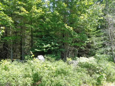 Lot 11 Bailey Mountain Road Franklin ME 04634