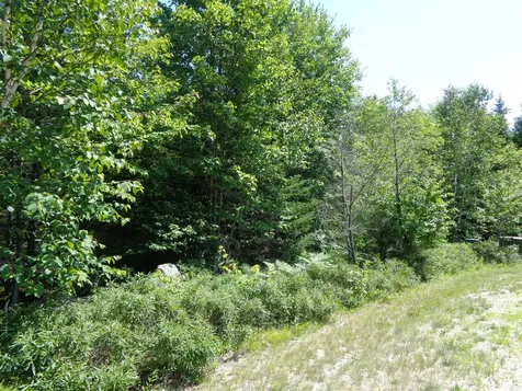 Lot 11 Bailey Mountain Road Franklin ME 04634