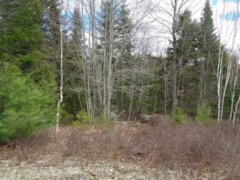 Lot 11 Bailey Mountain Road Franklin ME 04634