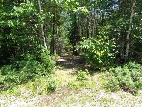 Lot 11 Bailey Mountain Road Franklin ME 04634