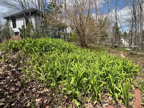 8 Leighton Point Road Pembroke ME 04666