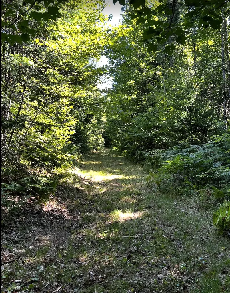 28 Bushey Road Greenville ME 04441