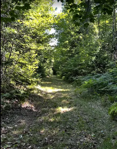 28 Bushey Road Greenville ME 04441