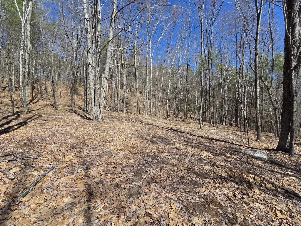 56 Buzzell Lane Greene ME 04236