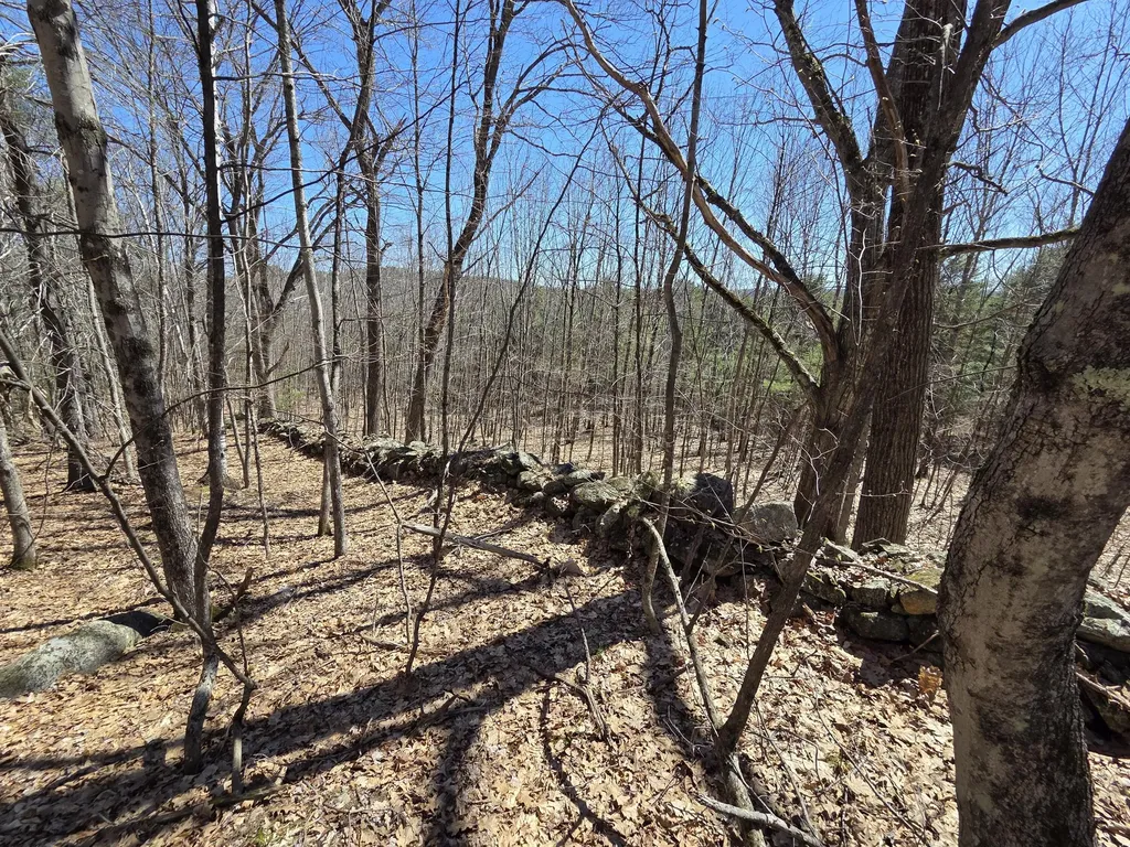56 Buzzell Lane Greene ME 04236