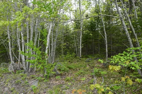 18 Lonely Oaks Way Franklin ME 04634